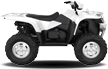 The 100% Online ATVs Marketplace